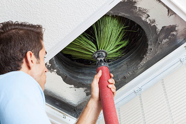 Best Air Duct Sanitizing Services  in Canby, OR